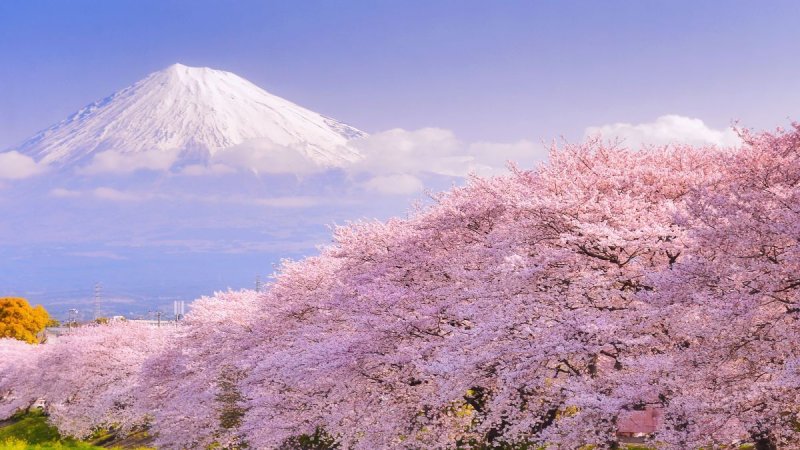 Tokiótól Oszakáig – Az Expo-val