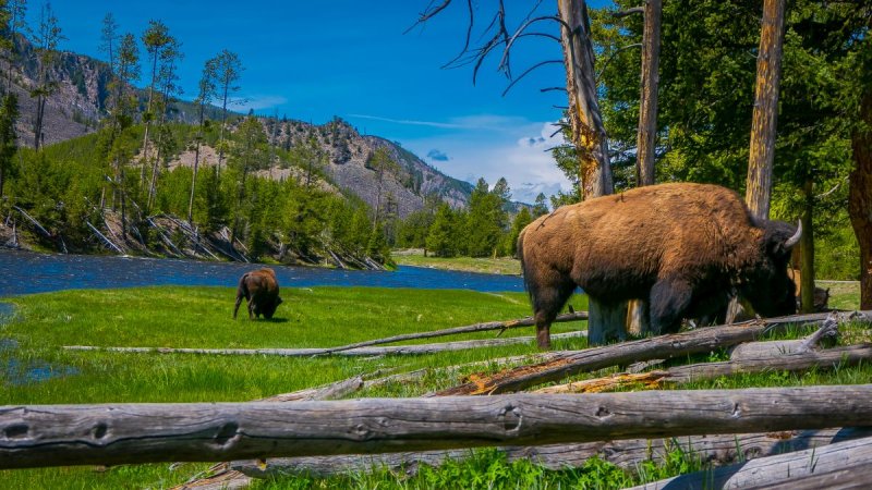 USA - Yellowstone És Az Igazi Vadnyugat