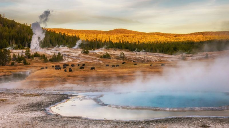 USA - Yellowstone És Az Igazi Vadnyugat
