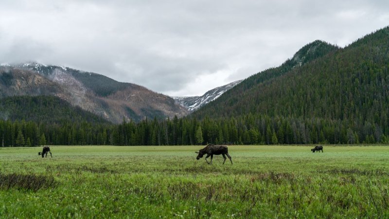 USA - Yellowstone És Az Igazi Vadnyugat