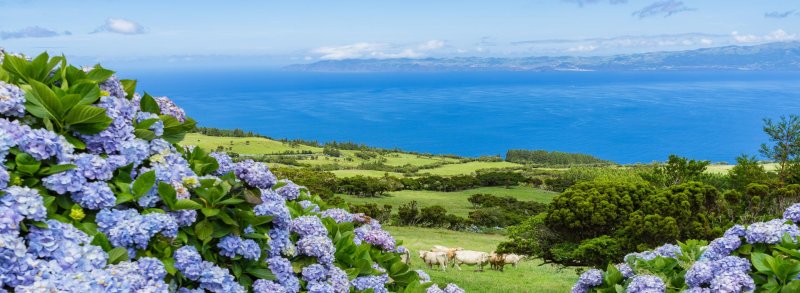 Azori-szigetek – Sao Miguel És Terceira