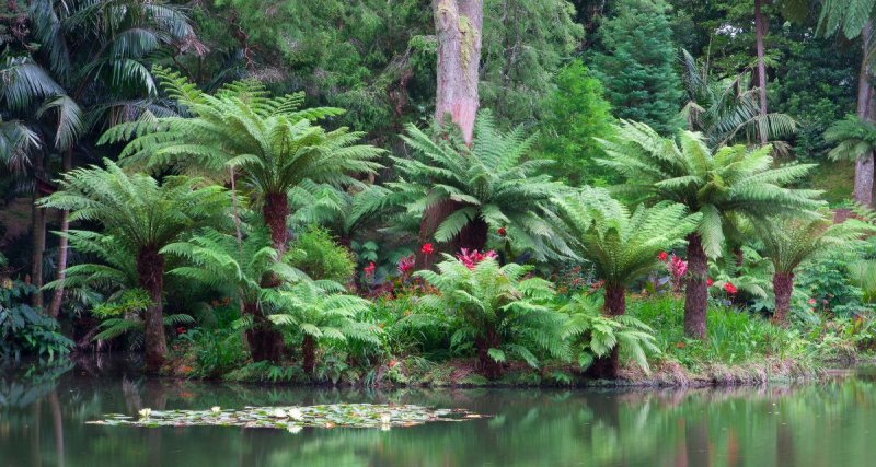 Azori-szigetek – Sao Miguel És Terceira