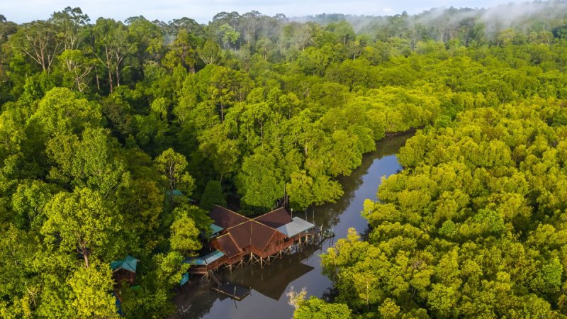 Borneói Kalandok - Látogatással Kuala Lumpurban