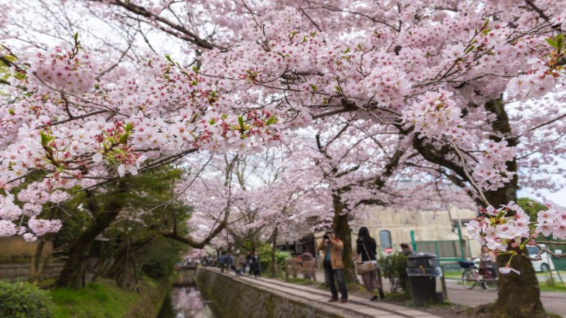 Császárok, Sógunok, Gésák – Tokió, Kiotó És Oszaka