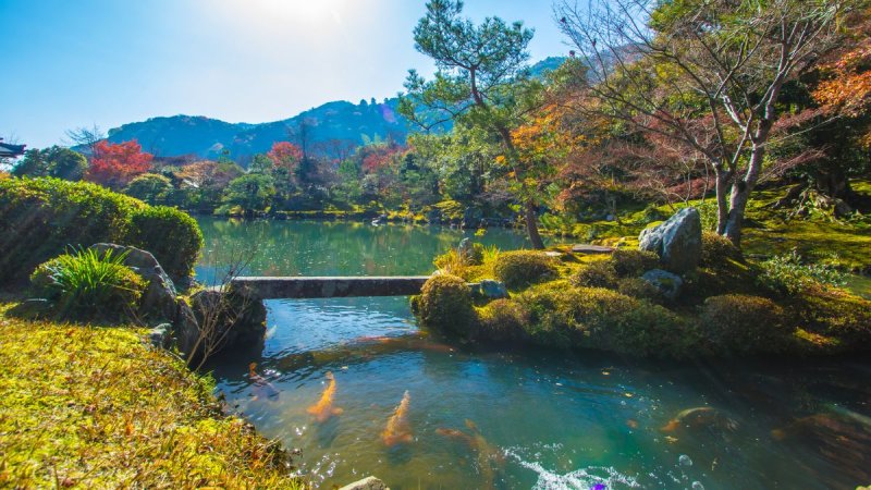 Császárok, Sógunok, Gésák – Tokió, Kiotó És Oszaka