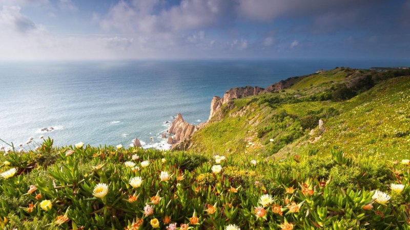 Ezerarcú Portugália