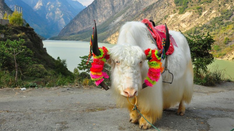 Kína és Tibet
