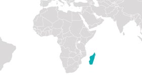 Madagaszkár Felfedezése