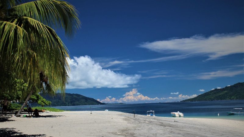 Madagaszkár Felfedezése