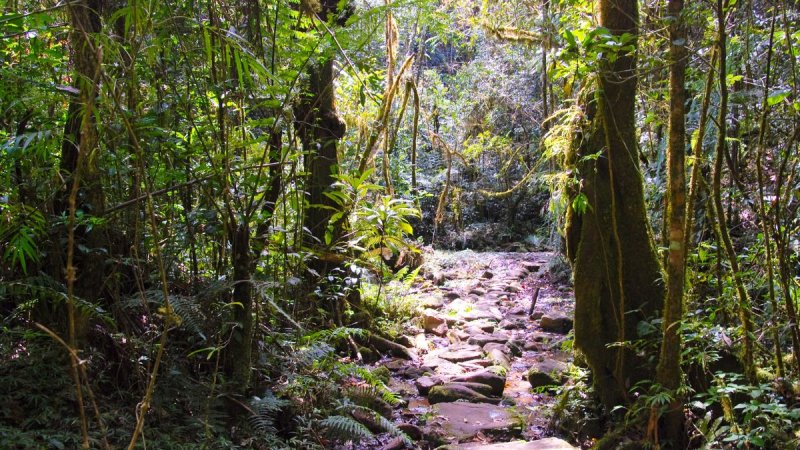 Madagaszkár Felfedezése