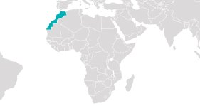 Nagy Körutazás Marokkóban