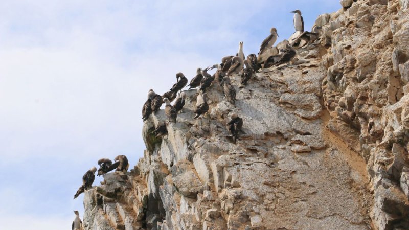 Perui Tájakon: Az Andoktól Az Óceánig
