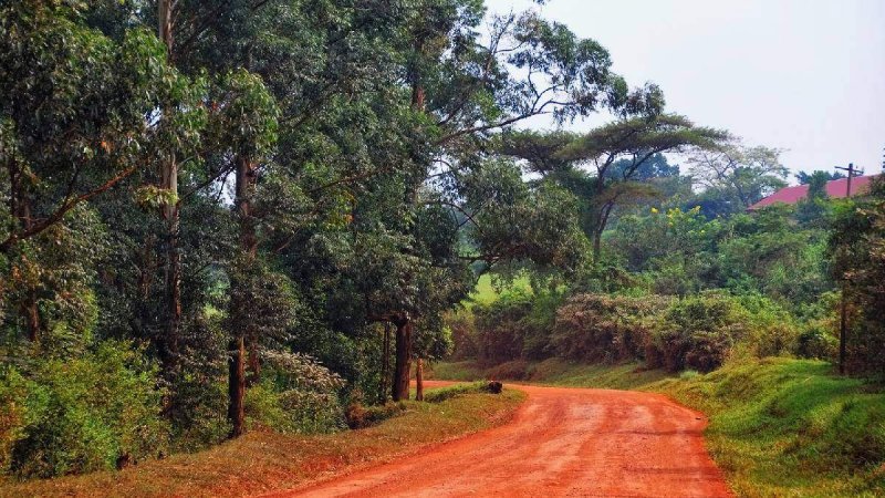 Uganda Szafari - Egyéni Körutazás