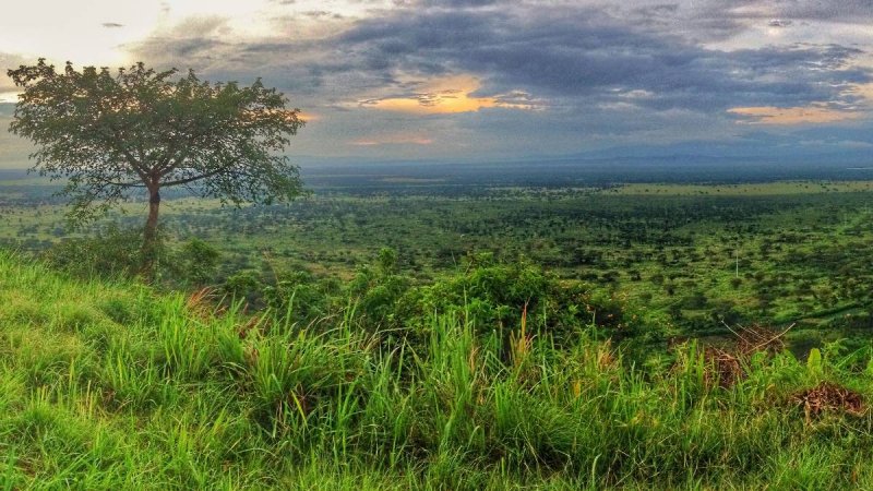 Uganda Szafari - Egyéni Körutazás