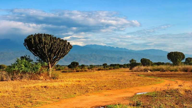 Uganda Szafari - Egyéni Körutazás