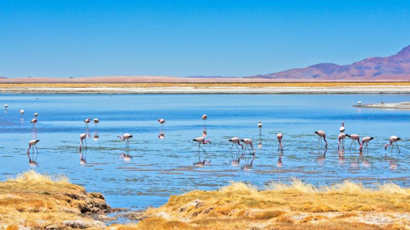 A Világ Végén És Azon Is Túl ​​– Chile És A Húsvét-sziget