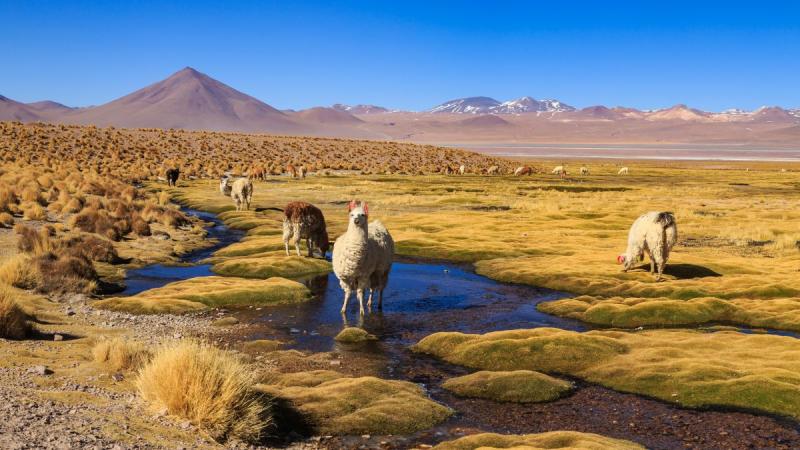 A Világ Végén És Azon Is Túl ​​– Chile És A Húsvét-sziget