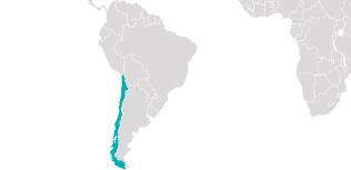 A Világ Végén És Azon Is Túl ​​– Chile És A Húsvét-sziget