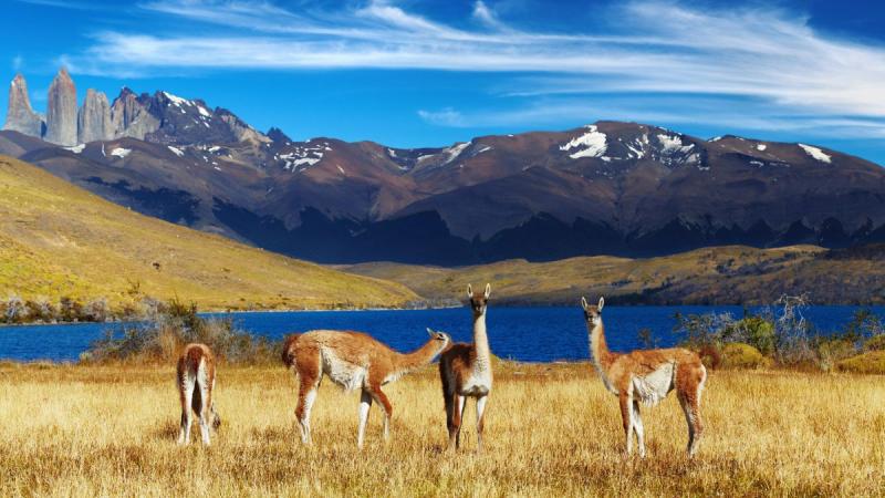 A Világ Végén És Azon Is Túl ​​– Chile És A Húsvét-sziget
