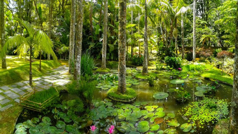 Azori-szigetek – Sao Miguel