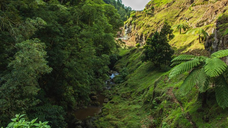 Azori-szigetek – Sao Miguel