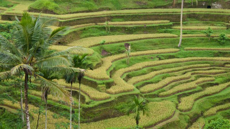 Bali – Körutazás Üdüléssel – Szilveszteri Időpontban Is