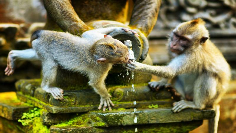 Bali – Körutazás Üdüléssel – Szilveszteri Időpontban Is