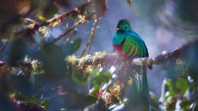 Jamaicai pihenéssel Costa Rica