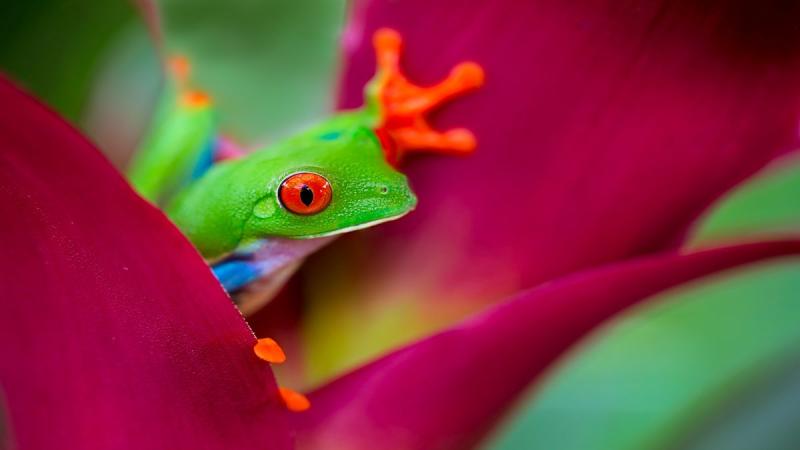 Jamaicai pihenéssel Costa Rica