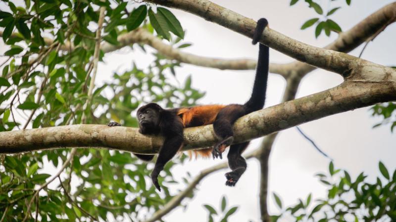 Jamaicai pihenéssel Costa Rica