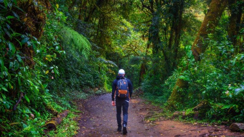Jamaicai pihenéssel Costa Rica