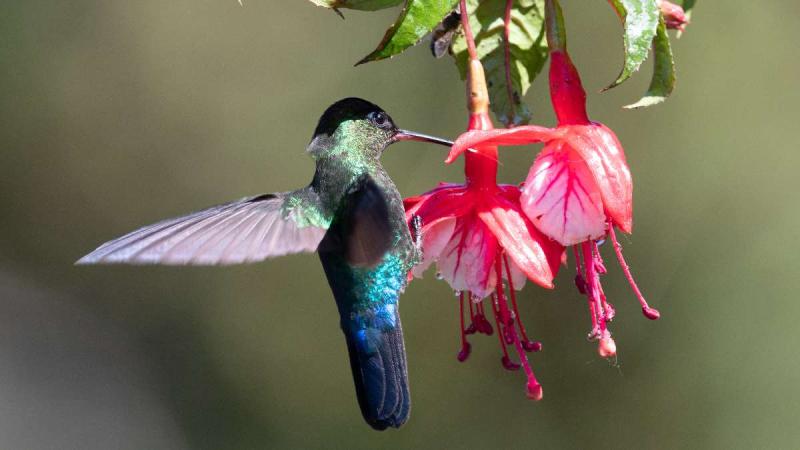 Jamaicai pihenéssel Costa Rica