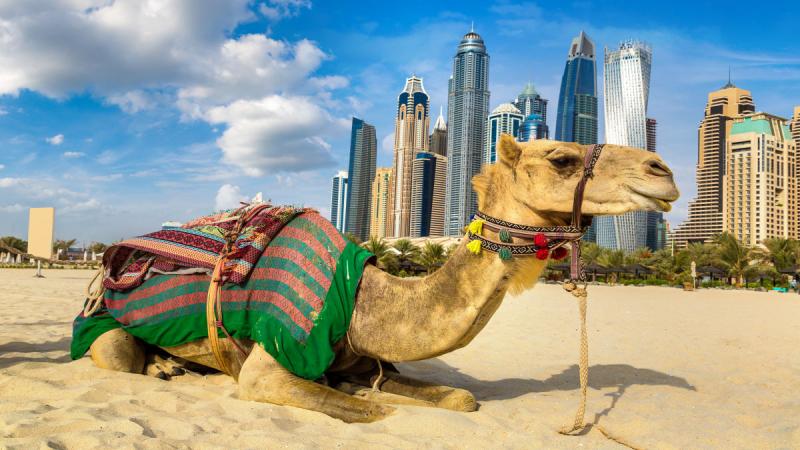 Csodálatos Emirátusok: Abu Dhabi - Dubai