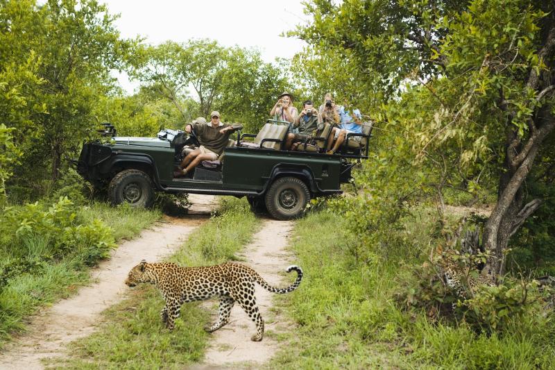 Dél-afrika - Szafari És Körutazás