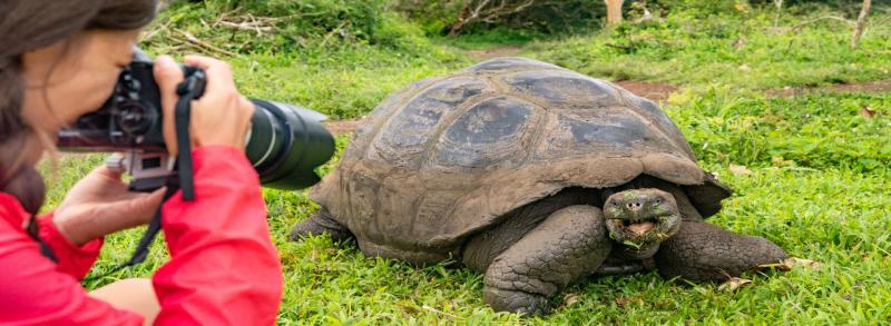 Ecuador: Quito És Galápagos-szigetek Világa