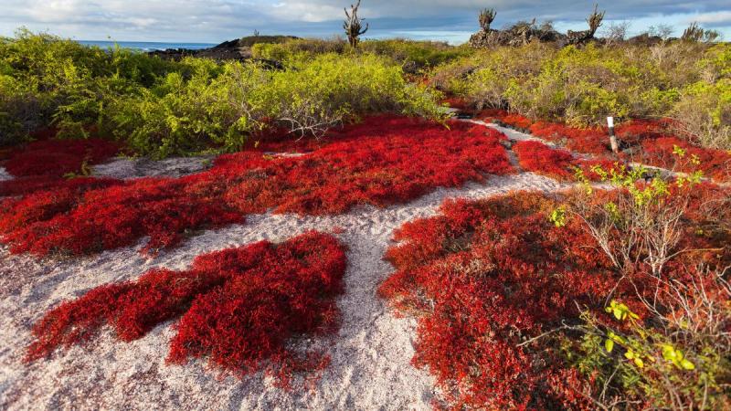 Ecuador: Quito És Galápagos-szigetek Világa