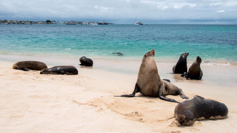 Ecuador: Quito És Galápagos-szigetek Világa