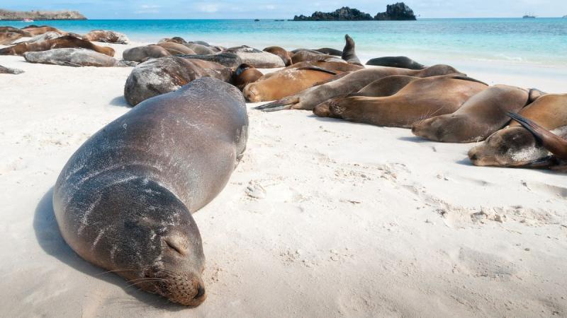 Ecuador: Quito És Galápagos-szigetek Világa