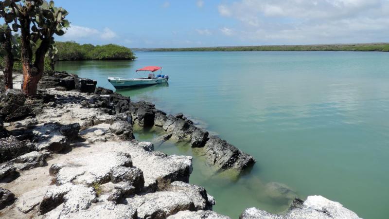 Ecuador: Quito És Galápagos-szigetek Világa