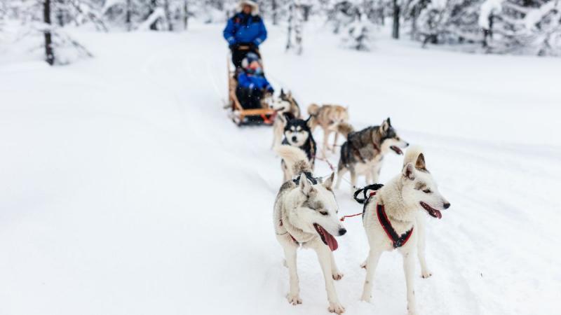Finnország – Számik, Rénszarvasok És Huskyk Földjén
