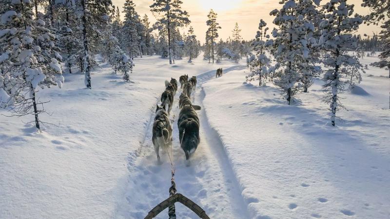 Finnország – Számik, Rénszarvasok És Huskyk Földjén