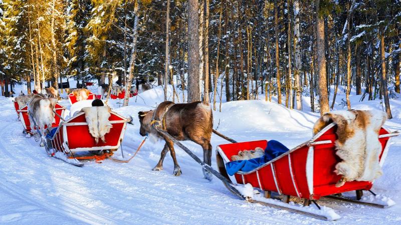 Finnország – Számik, Rénszarvasok És Huskyk Földjén