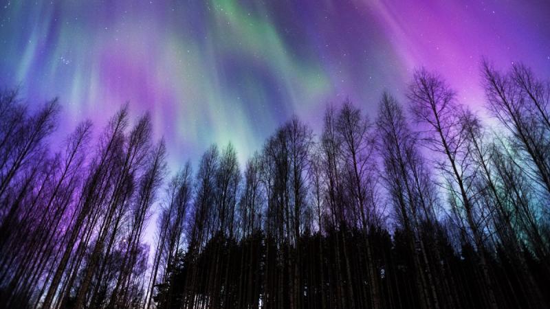 Finnország – Számik, Rénszarvasok És Huskyk Földjén