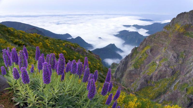 Madeira - Csoportos Csillagtúra