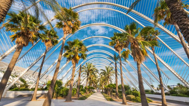 Mediterrán Alicante És Valencia