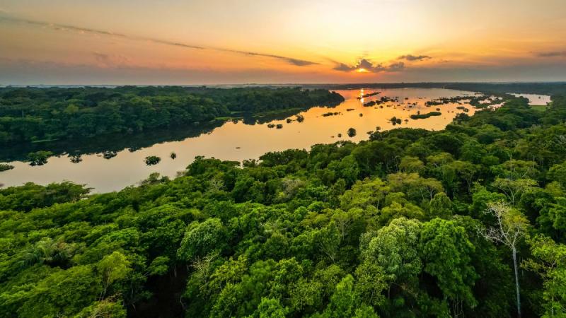 Nagy Körutazás Brazíliában: Salvador, Amazonas, Iguassu És Rio