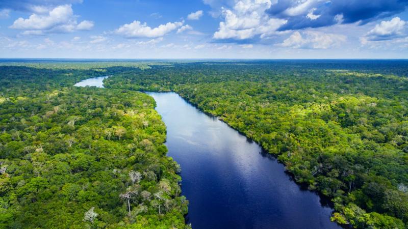 Nagy Körutazás Brazíliában: Salvador, Amazonas, Iguassu És Rio