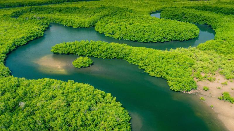 Nagy Körutazás Brazíliában: Salvador, Amazonas, Iguassu És Rio