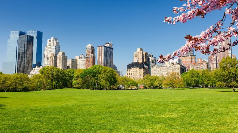 New York - A Város, Ami Soha Nem Alszik