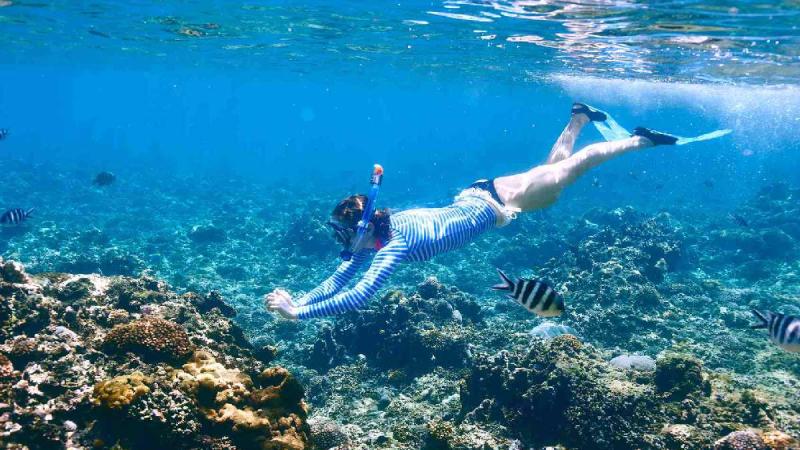 Seychelles - Az Indiai-óceán Álomszigetei